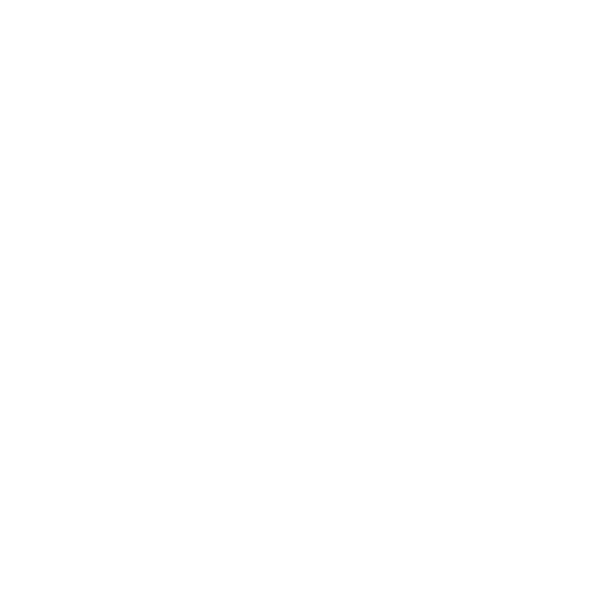 noun-strategy-4963258-FFFFFF